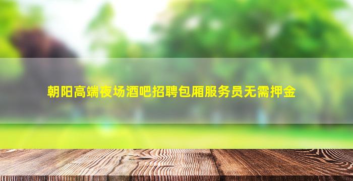 朝阳高端夜场酒吧招聘包厢服务员无需押金